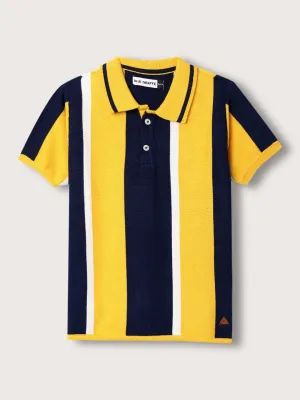 Blue Giraffe Boys Multi Polo Striped TShirt