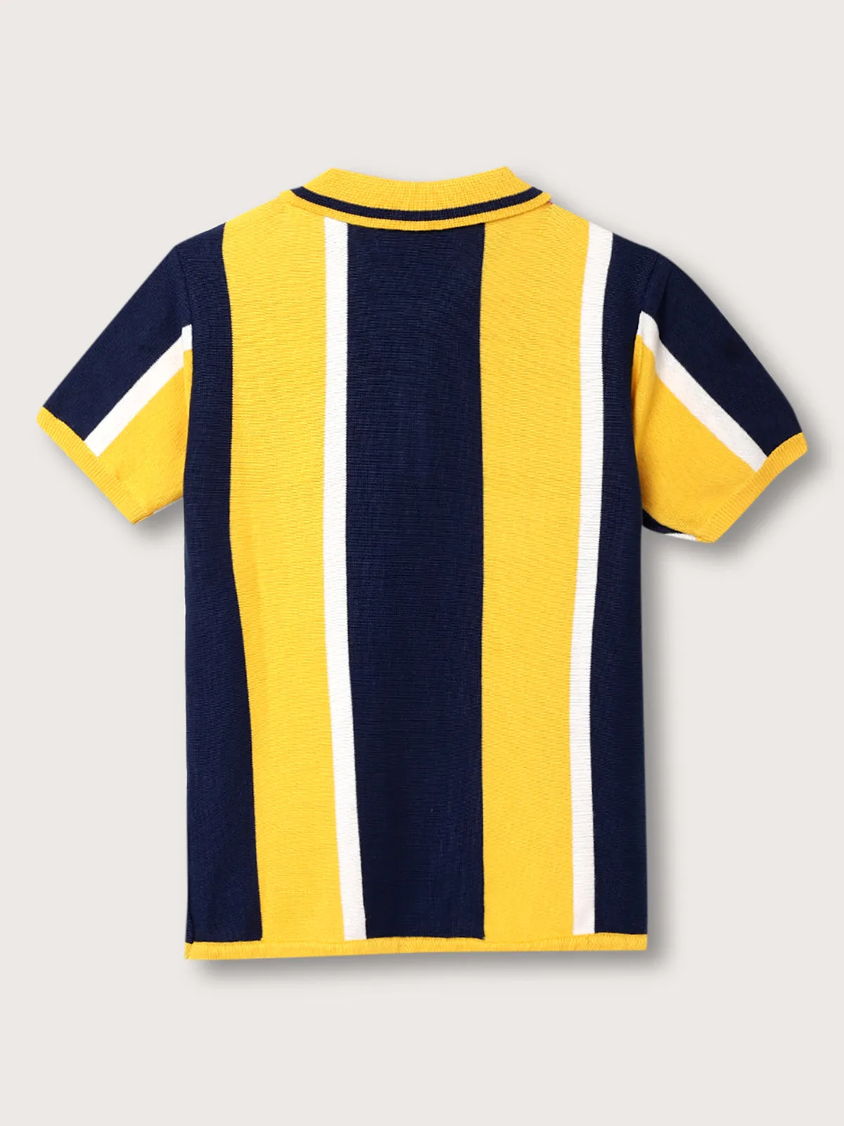 Blue Giraffe Boys Multi Polo Striped TShirt