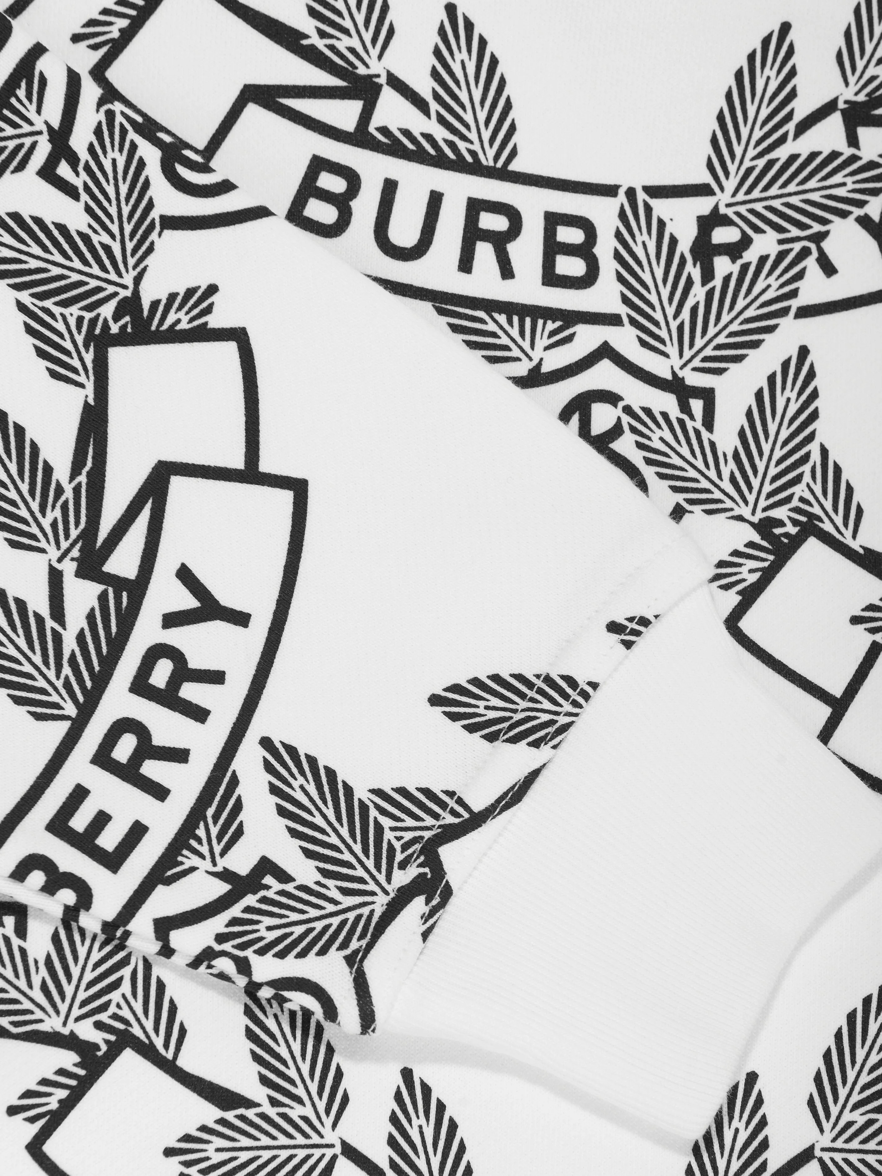 Burberry Boys Talbot Crest Hoodie in White