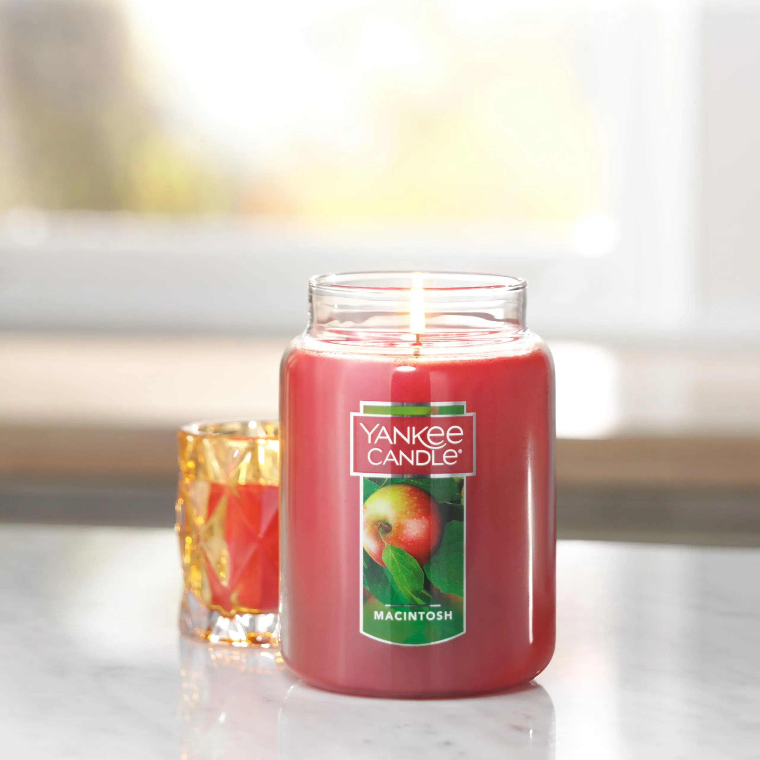 Yankee Candle Autumn Wreath Scented, Classic 22oz Large Jar Single Wick Aromatherapy Candle