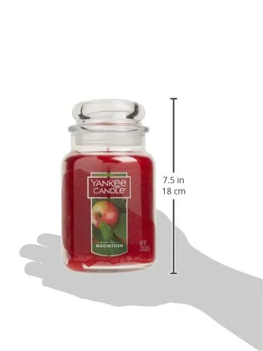 Yankee Candle Autumn Wreath Scented, Classic 22oz Large Jar Single Wick Aromatherapy Candle